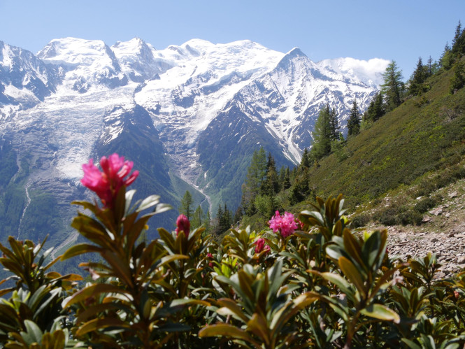 Examples of Hiking Routes in Chamonix