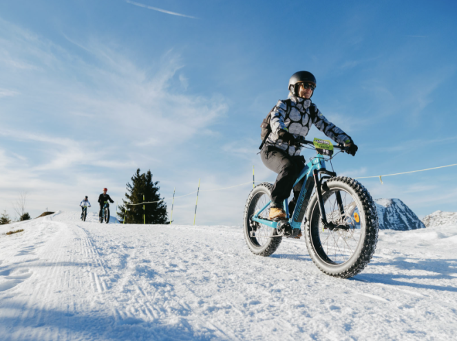 Fat bikes and snow bikes