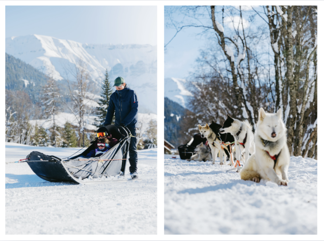 Chiens de traîneaux Val Thorens