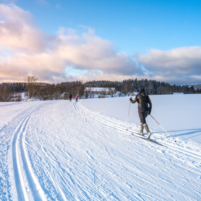 evolution2-nordic-skiing-winter