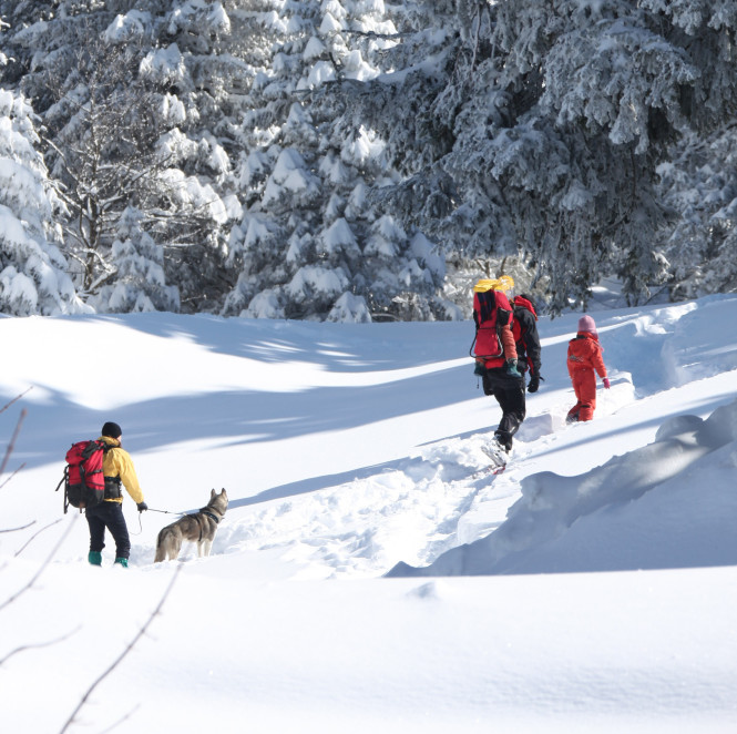 Sur la piste du trappeur
