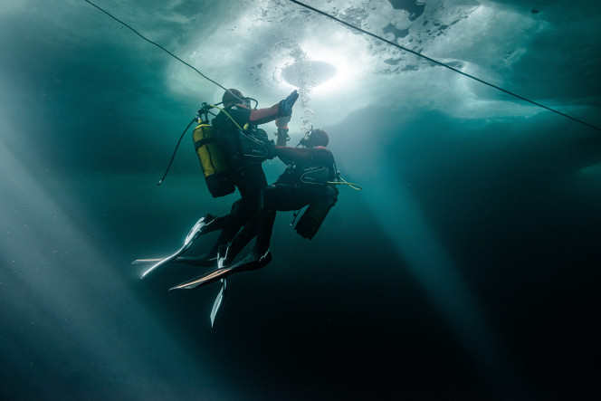 1. Ice diving: Immersion in an unreal world 🤿​