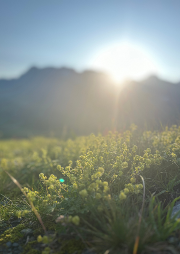 Le soleil se lève l'été à la Rosière