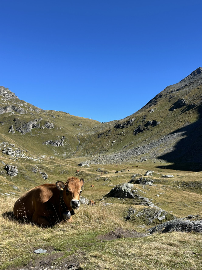 Hike to Mont Pourri in La Rosière with Evolution 2