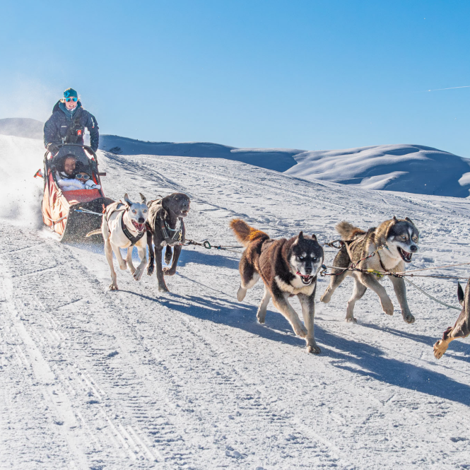 Des expériences qui vont au-delà du ski