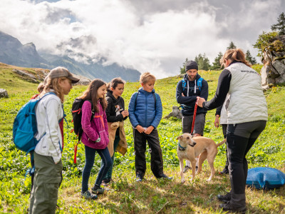 The Summer Camp in Chamonix: A Week of Adventure for Your Kids!