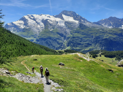 Vacances d’été à la montagne en famille : le guide des aventures inoubliables
