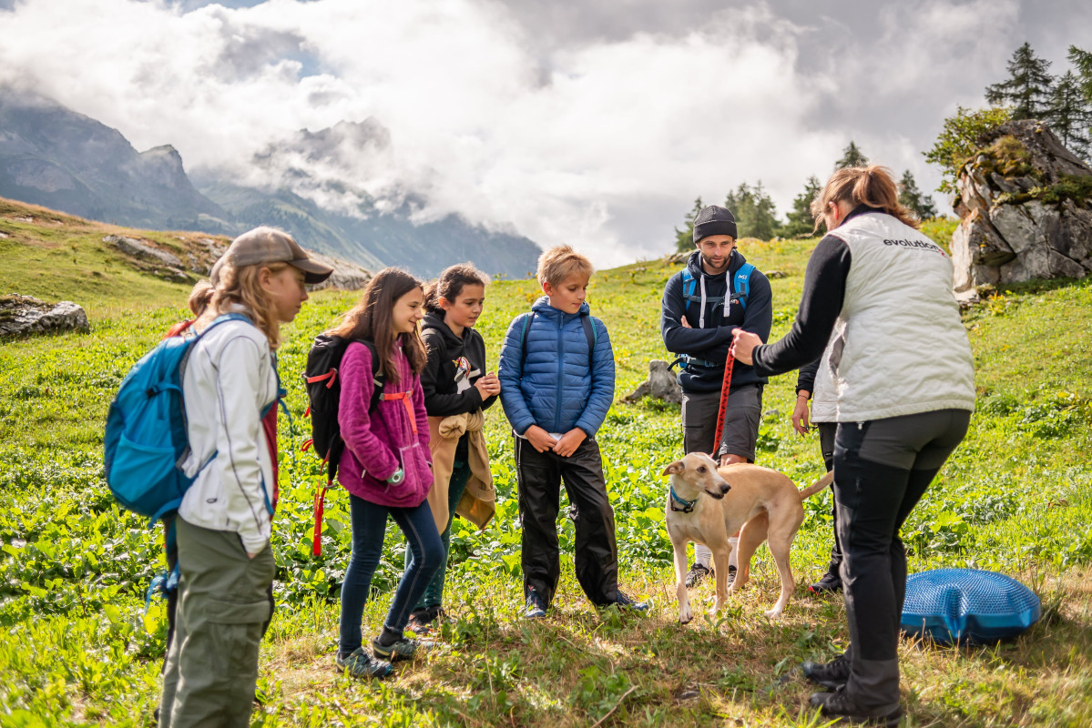The Summer Camp in Chamonix: A Week of Adventure for Your Kids!