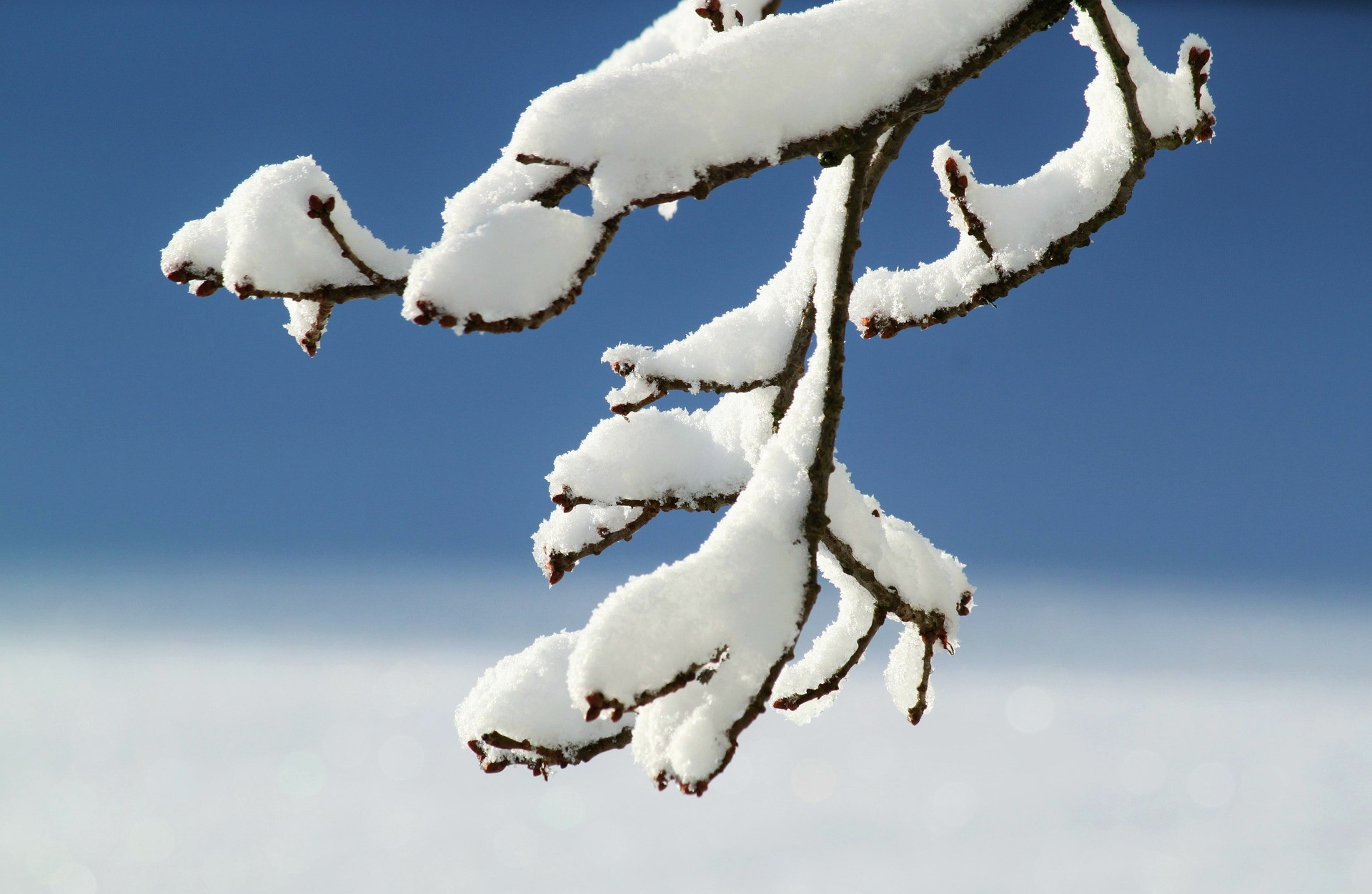 RAQUETTES A NEIGE | Itinérance (groupes) Tour de la Sana