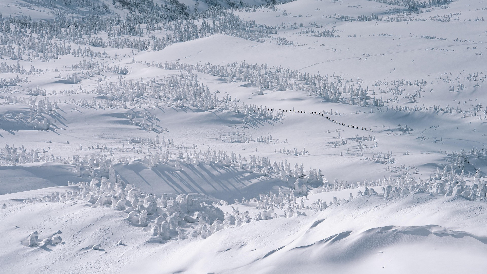 SKI AU JAPON | Séjour ski poudreuse