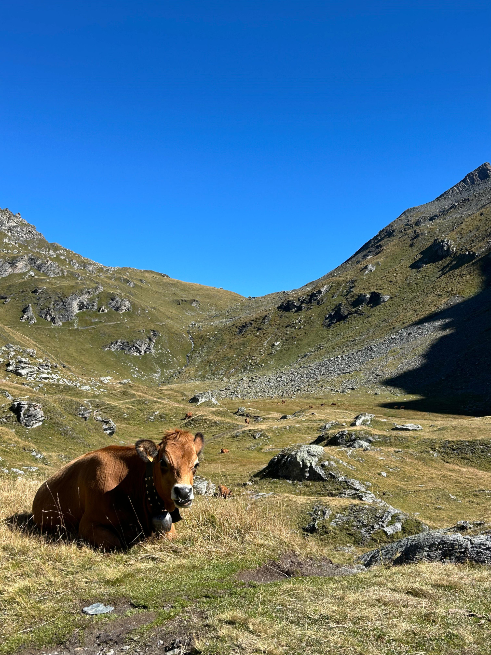 Trek in the Vanoise – A 3-day multi-day hike around Mont Pourri
