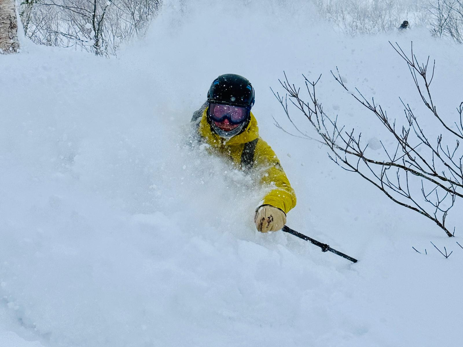 alt="A man is skiing off-piste in Japan in deep powder snow"
