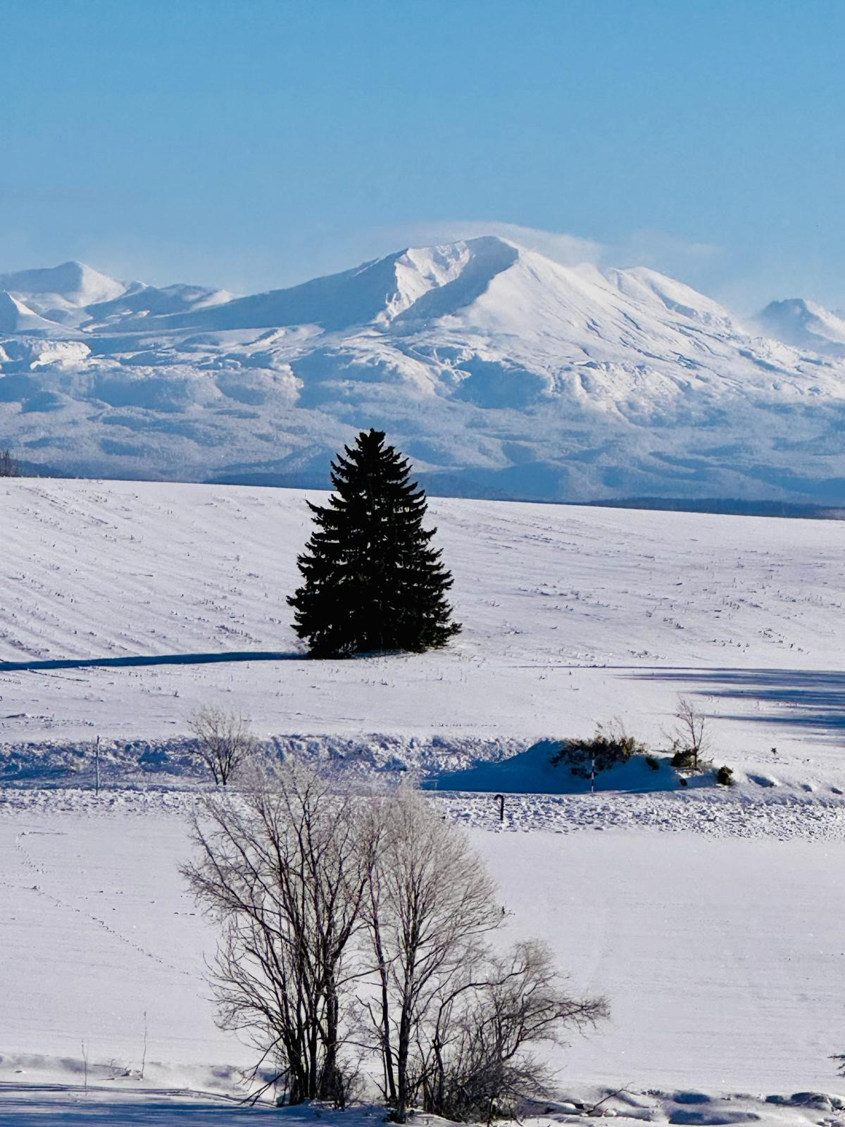 alt="During your ski touring trips, stop to take in the Japanese landscape with your UIAGM Evolution 2 guide"