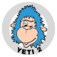 YETI 2
