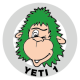 Yeti 1