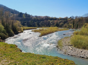 River Activity