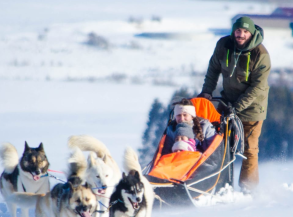 activités hiver la plagne traineau
