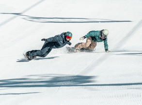 Snowboard