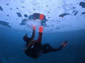 Plongée sous glace