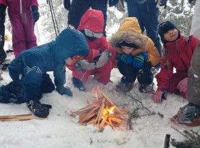 activités hiver la plagne traineau