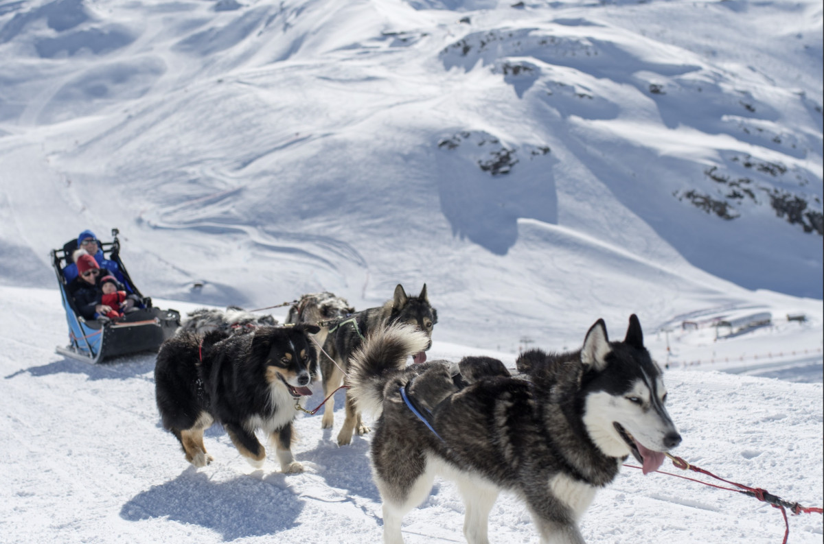 Dog sledding ride | Evolution2 Val Thorens