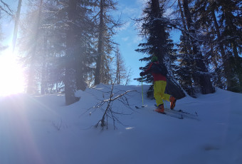 Ski Touring - day with a collective group