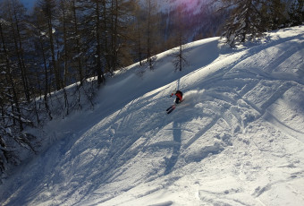 Ski private lessons