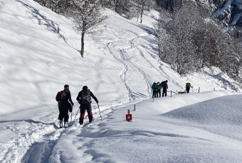 Ski Touring - collective initiation during half day