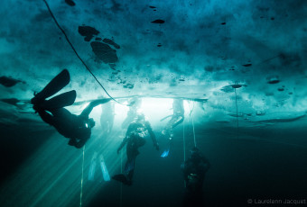Ice Free Diving