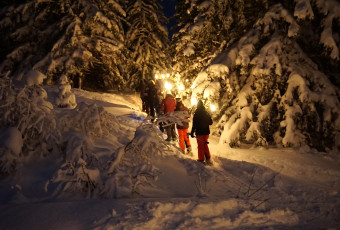 Night snowshoeing - Torchlight walk