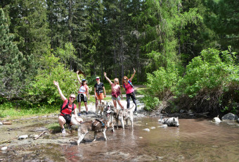 Cani-rando à Megève