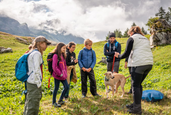 Stage multi activités