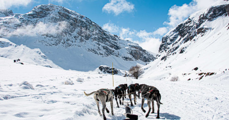 Activité chiens de traîneaux avec Evolution 2 Val d’Isère.