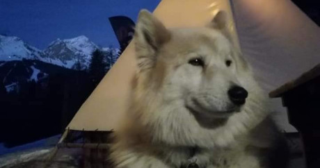 Tipi village Montchavin