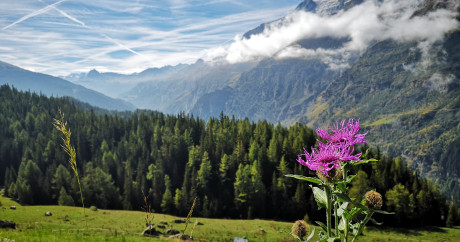 Randonnées montagne