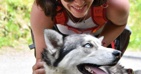 chiens, nature, balade, randonnée, haute-savoie, huskys