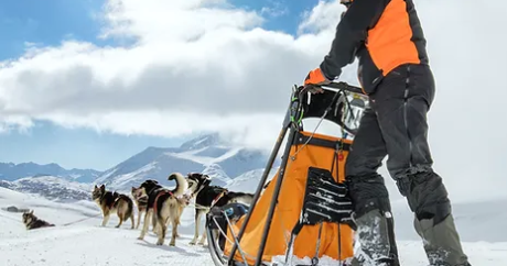 Baptême Chiens de traîneaux Bessans et Val Cenis