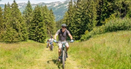 Electric mountain bike