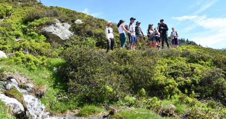 Randonnée pédestre