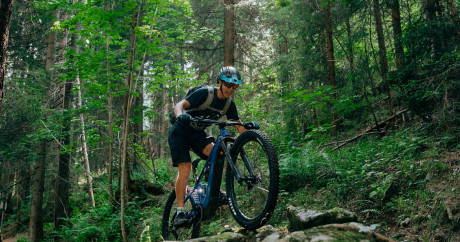 Downhill & Enduro MTB