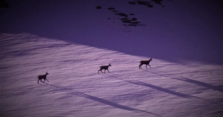 Randonnées hivernales