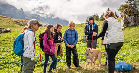 Stage multi activités