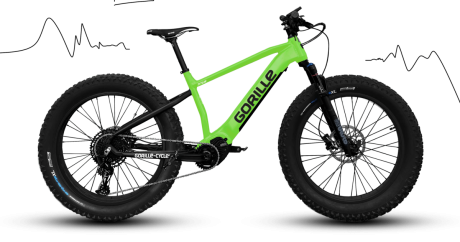 E-MTB Fatbike Rental