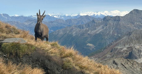 Guided hike to a 3,000m mountain summit from La Rosière