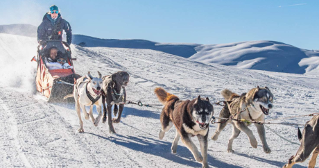 Balade en traîneau à chiens dans les Alpes à La Rosière