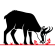 Faune & flore de montagne