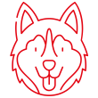 Dog-Friendly Activities
