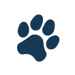 Chien de traineau